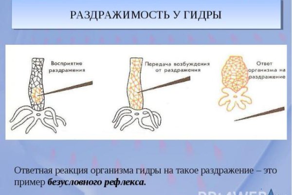 Кракен маркетплейс откуда взялся