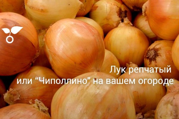 Кракен даркнет рабочая