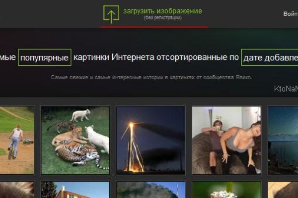 Браузер для кракен