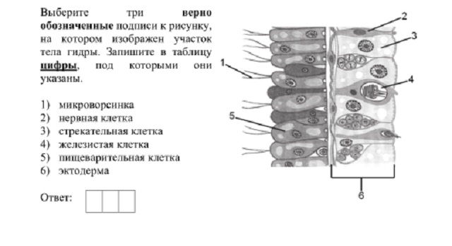 Кракен ссылка рп