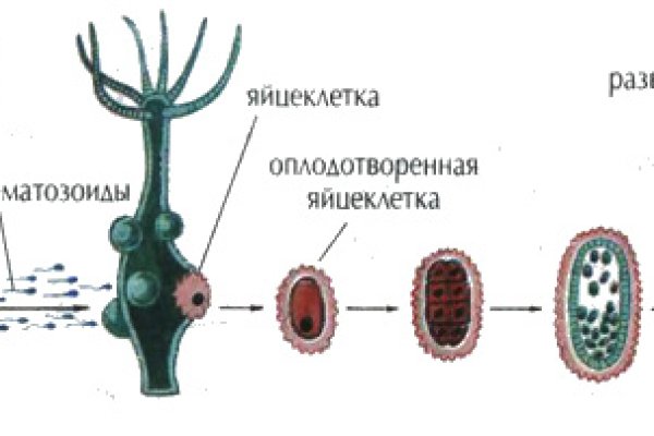 Мега кракен