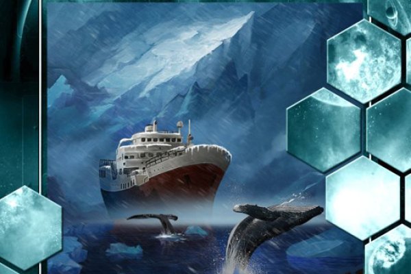 Kraken url