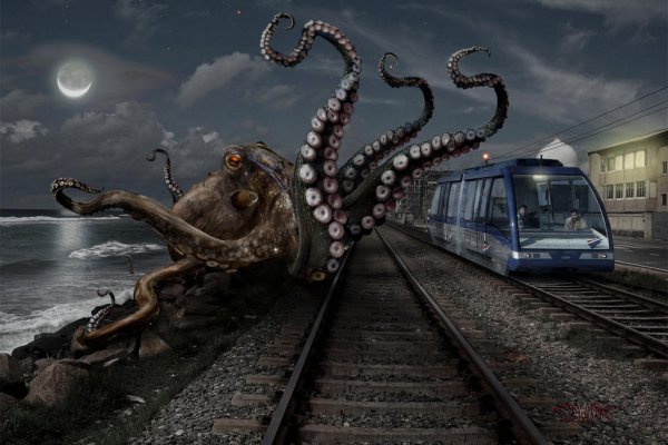 Кракен онион kraken dark link