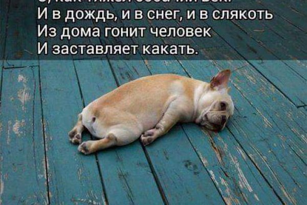 Кракен ссылка онион зеркало