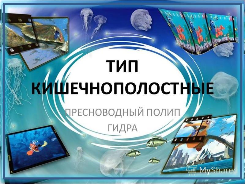 Забыл пароль от кракен